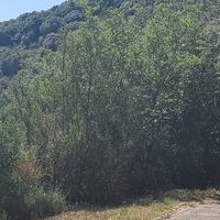 Photo de France - Le Canal du Midi et le tunnel du Malpas